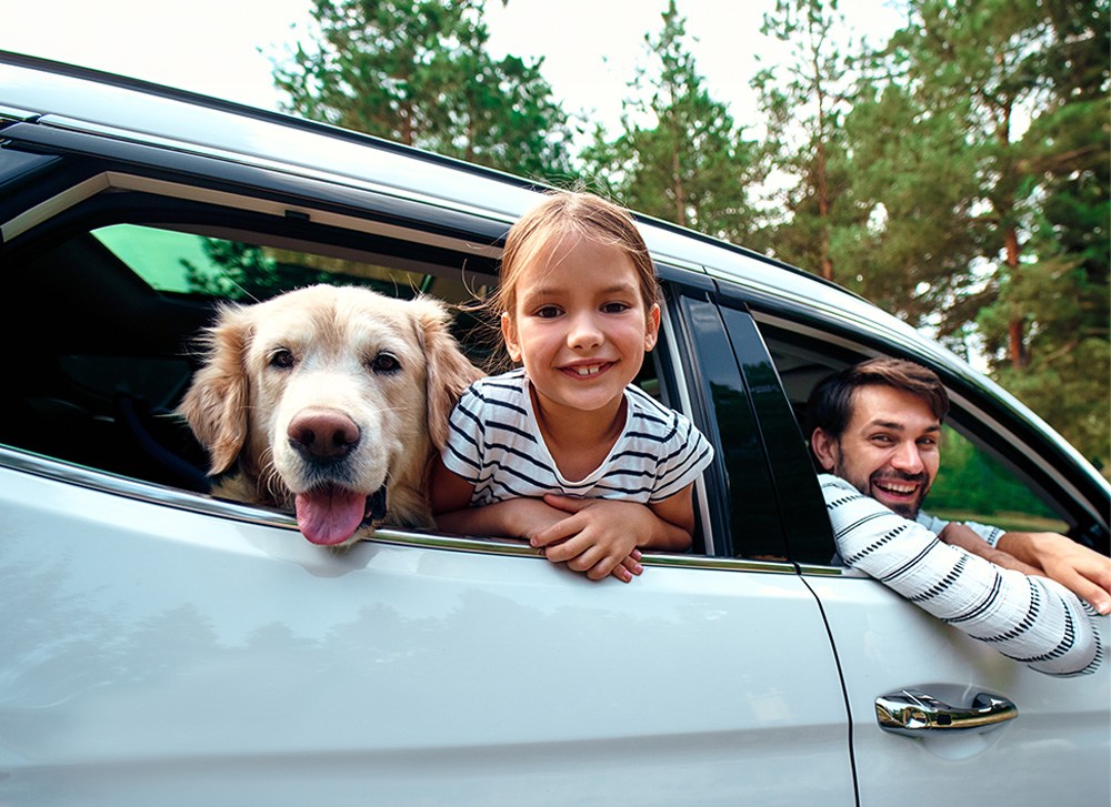 Father, daughter and dog hanging out of car windows. 