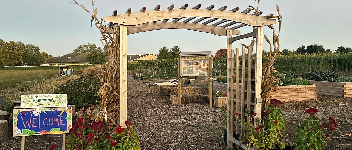 pergola on farm during sunset