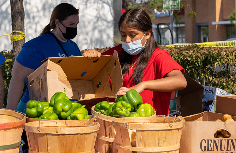 Women unload fruits and vegetables from basket 